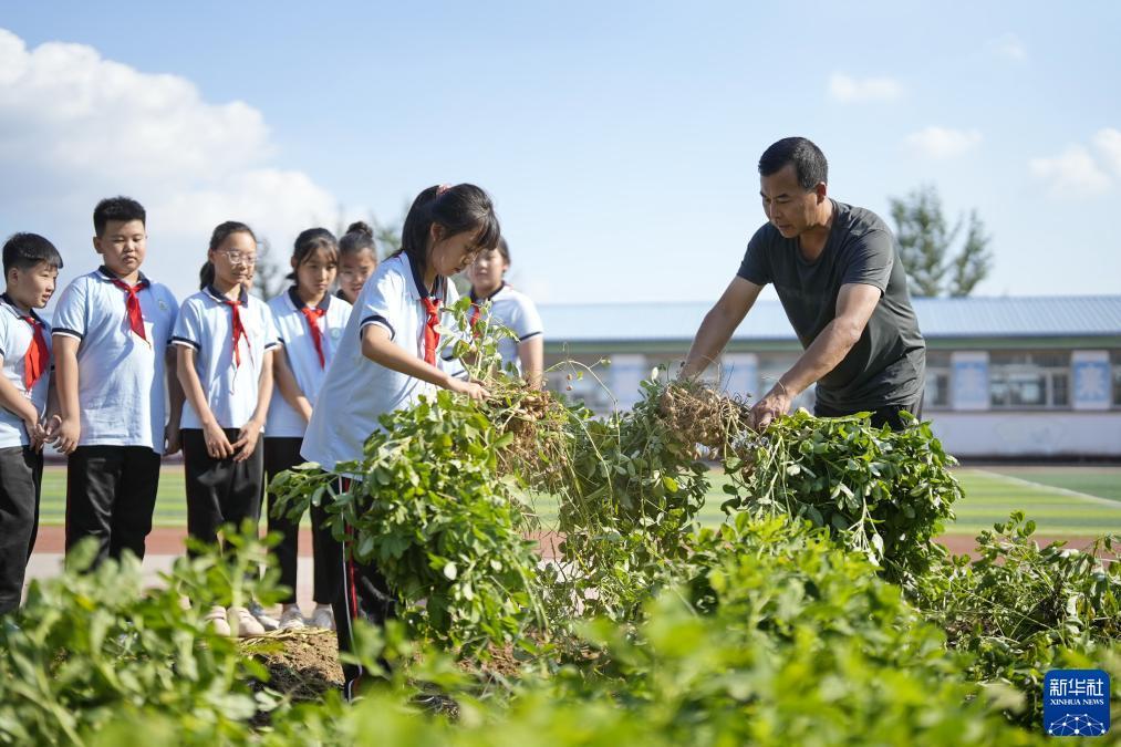 广东推倒胡麻将下载免费